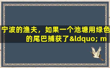 宁波的渔夫，如果一个池塘用绿色的尾巴捕获了“ mult”，那会是黑鱼吗？